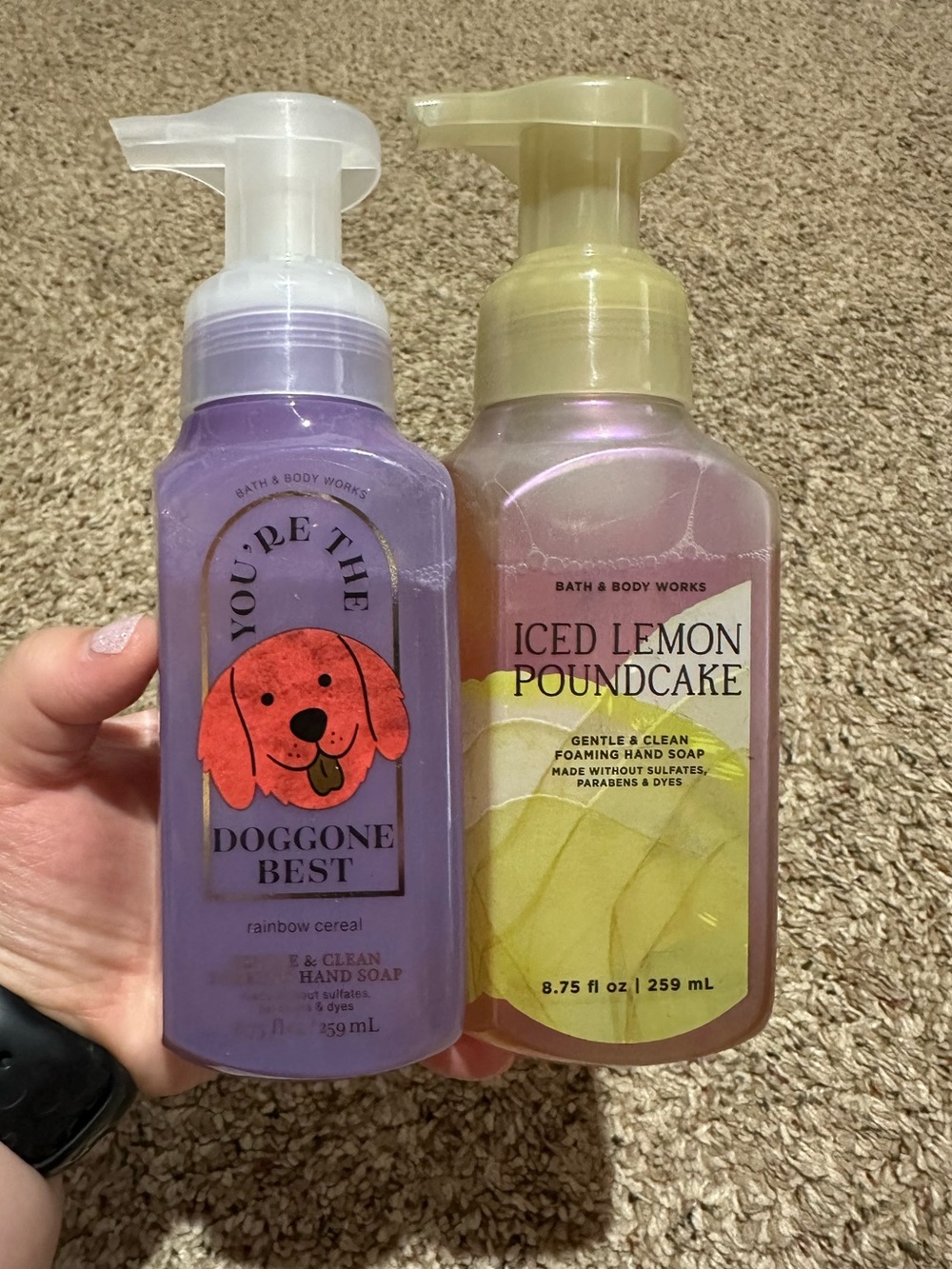 Bath & Body Works Foaming Hand Soap